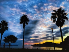 街灯のある夕景