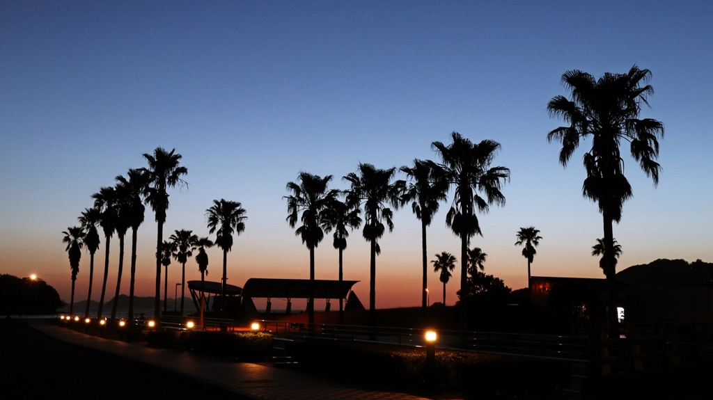 フェニックスのシルエット