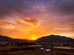 今朝の切り取り