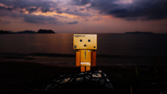 AMAZON DANBOARD