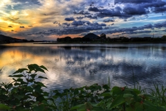 今日もスマホのスナップです。