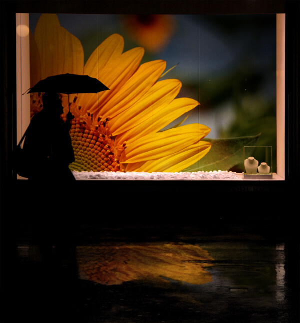 Shop window