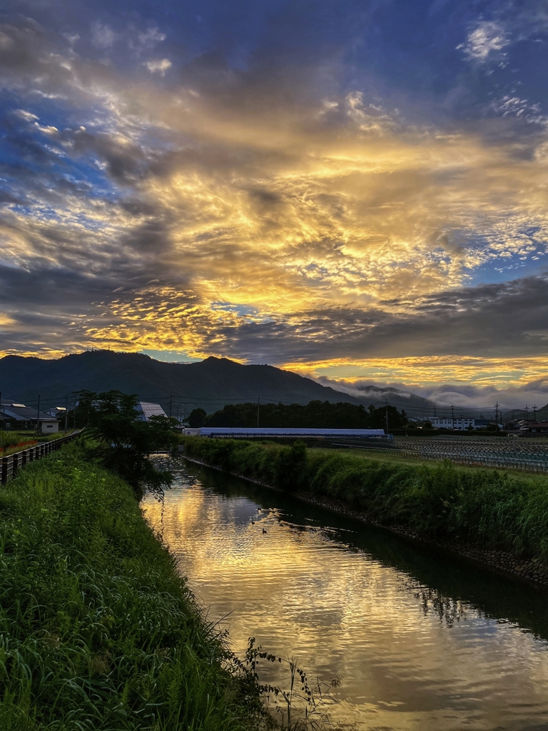 今朝の空