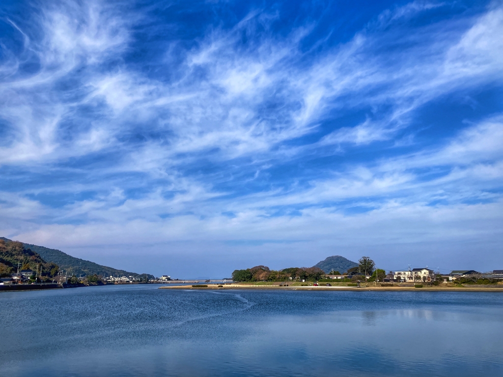 年の瀬なんだけど、いつもの風景