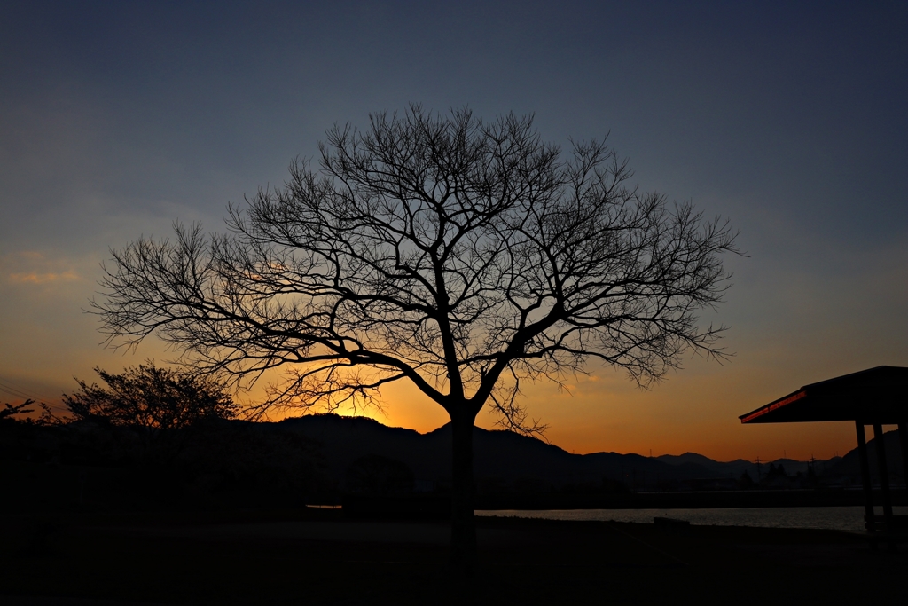 夜明け