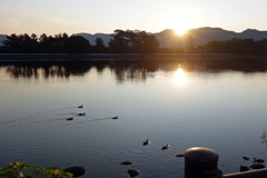 今朝の河口付近