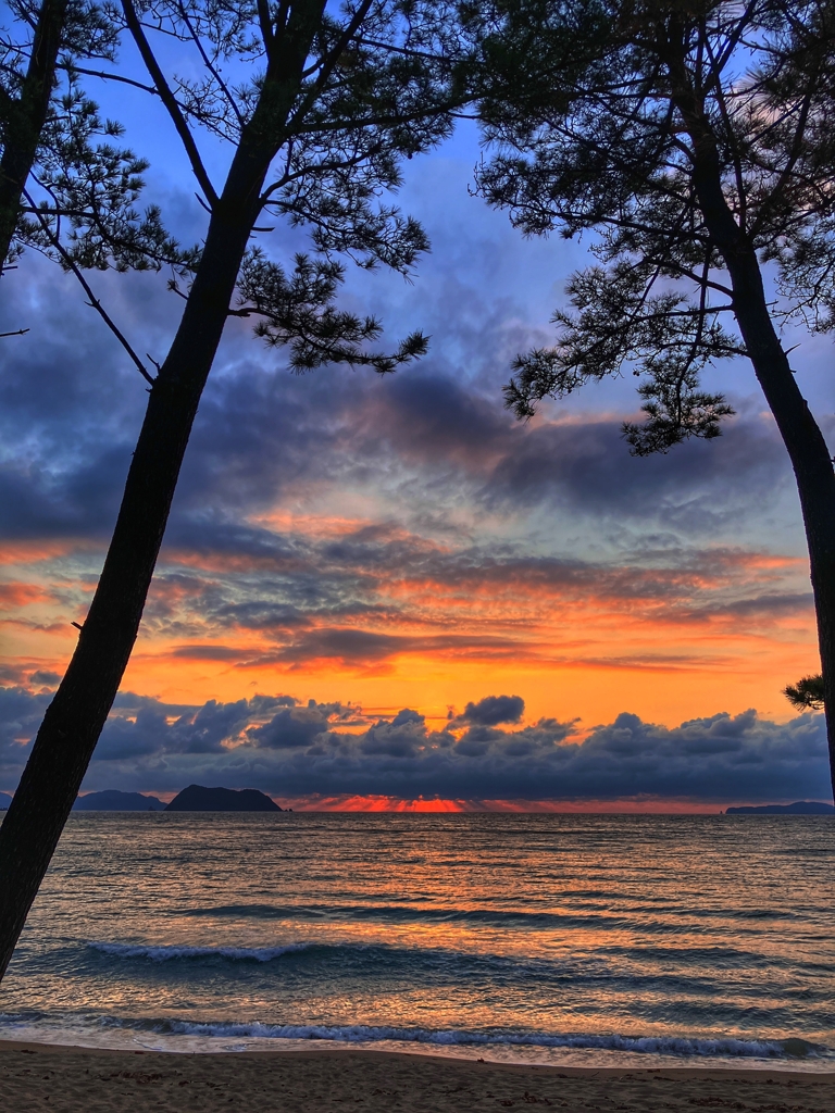 今日の帰宅前.4