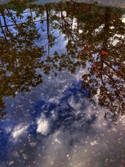 水溜りの中の世界