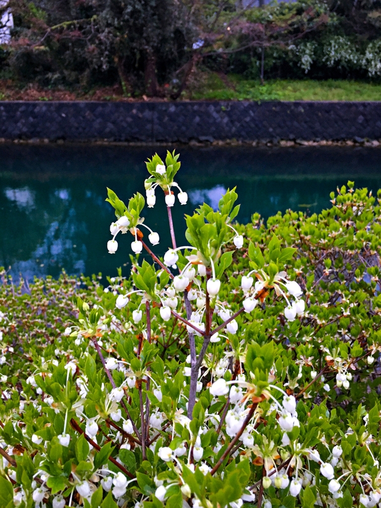 帰宅前の寄り道