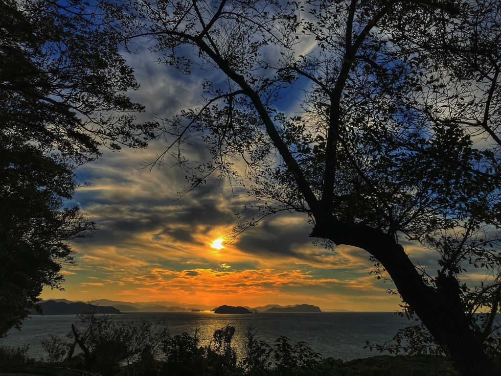 隙間から見える夕景