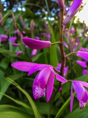 いってらっしゃい！