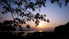 栴檀越しの夕景.1