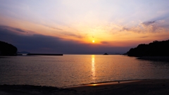 カモメが休む浜辺