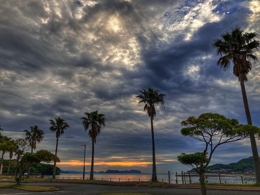 帰宅前の寄り道.2