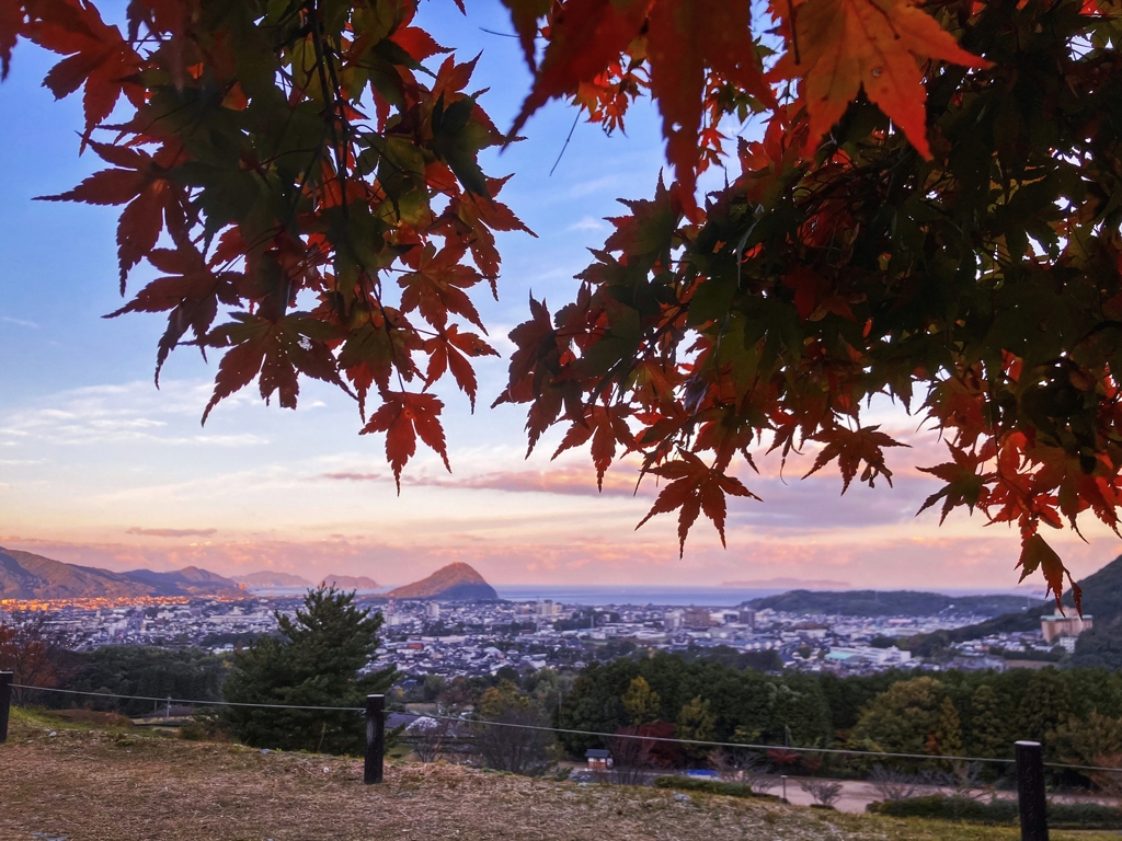 朝焼けとモミジ