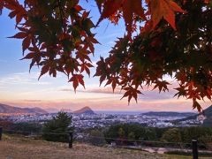朝焼けとモミジ