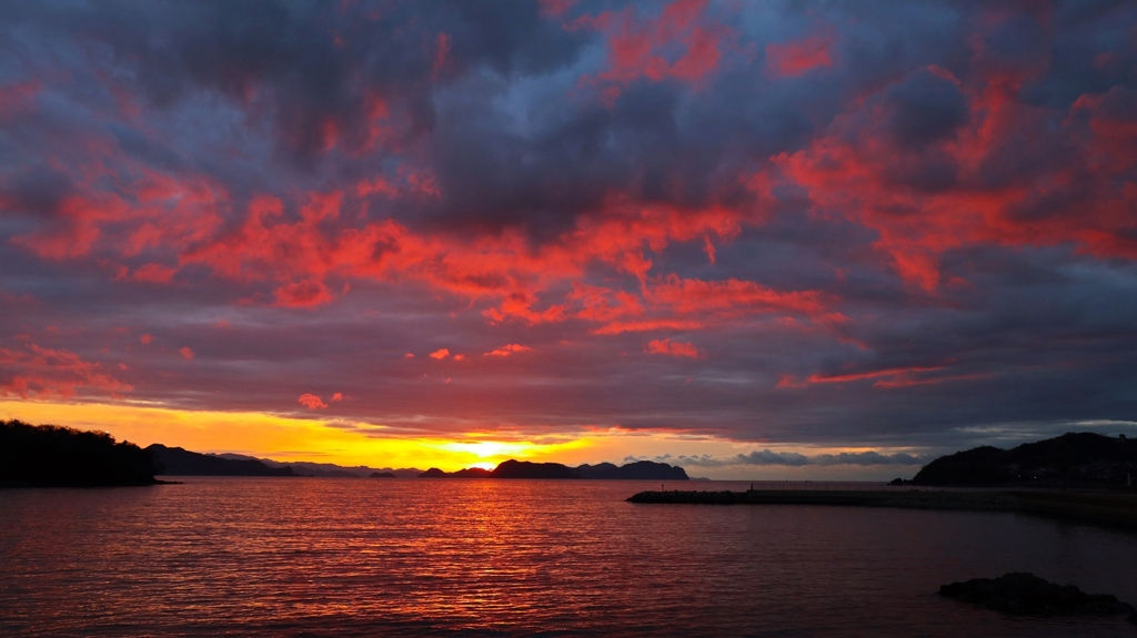 久しぶりに焼けました
