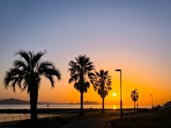 遊歩道からの眺め