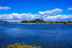 河口付近の風景