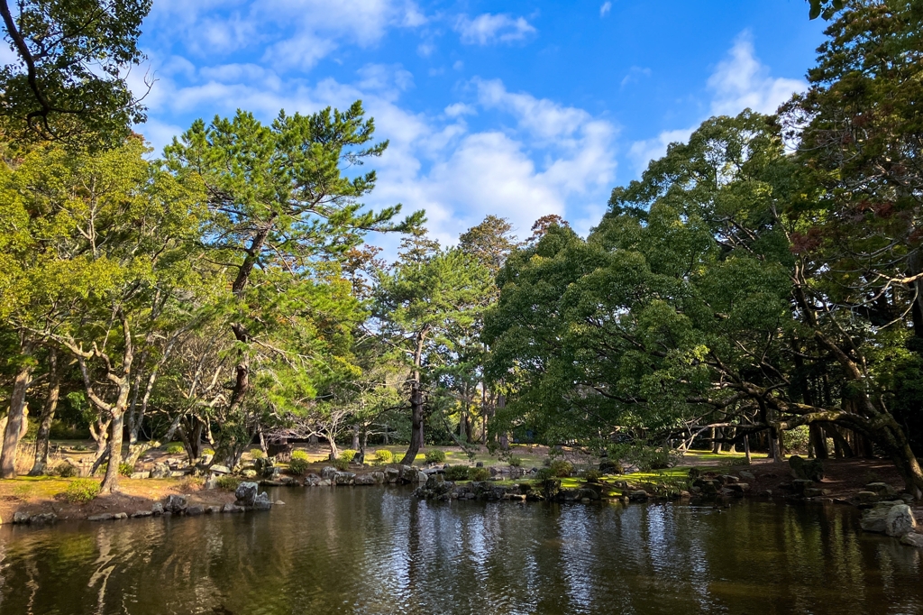 近所の公園の池