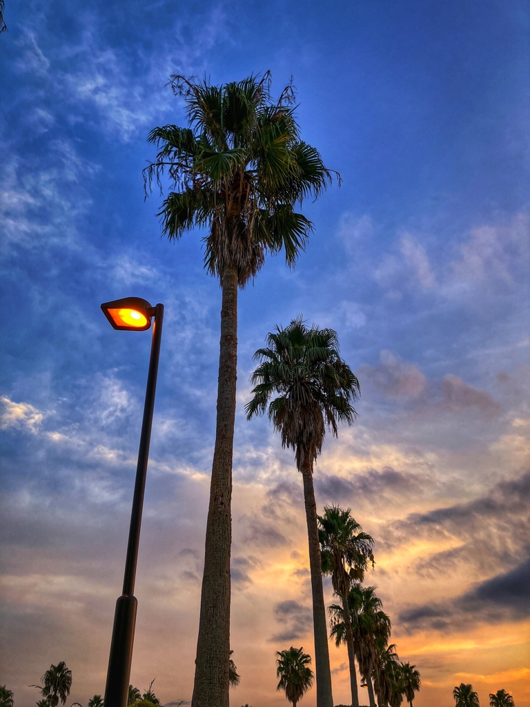 見上げれば・・・