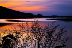 河口付近の夕景：再現像