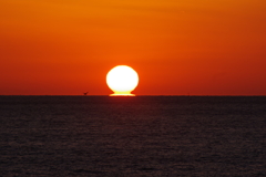 室戸のだるま夕日