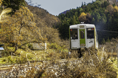晩秋の里山を往く