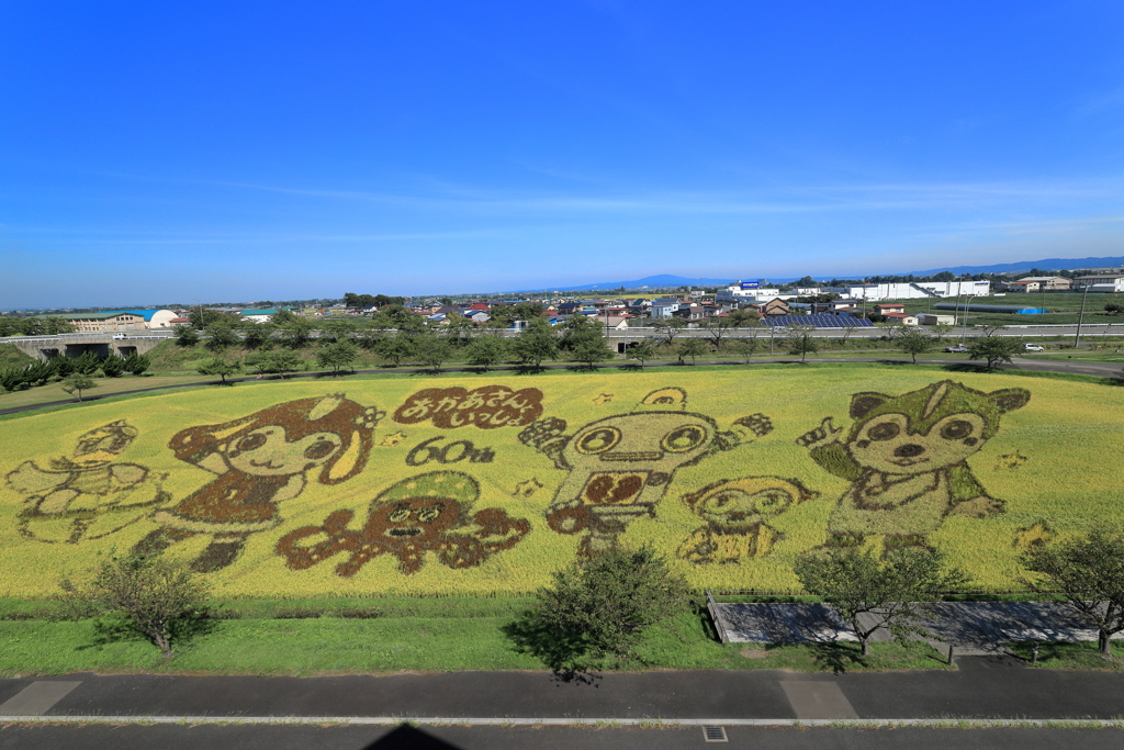 田舎館村・田んぼアートⅢ