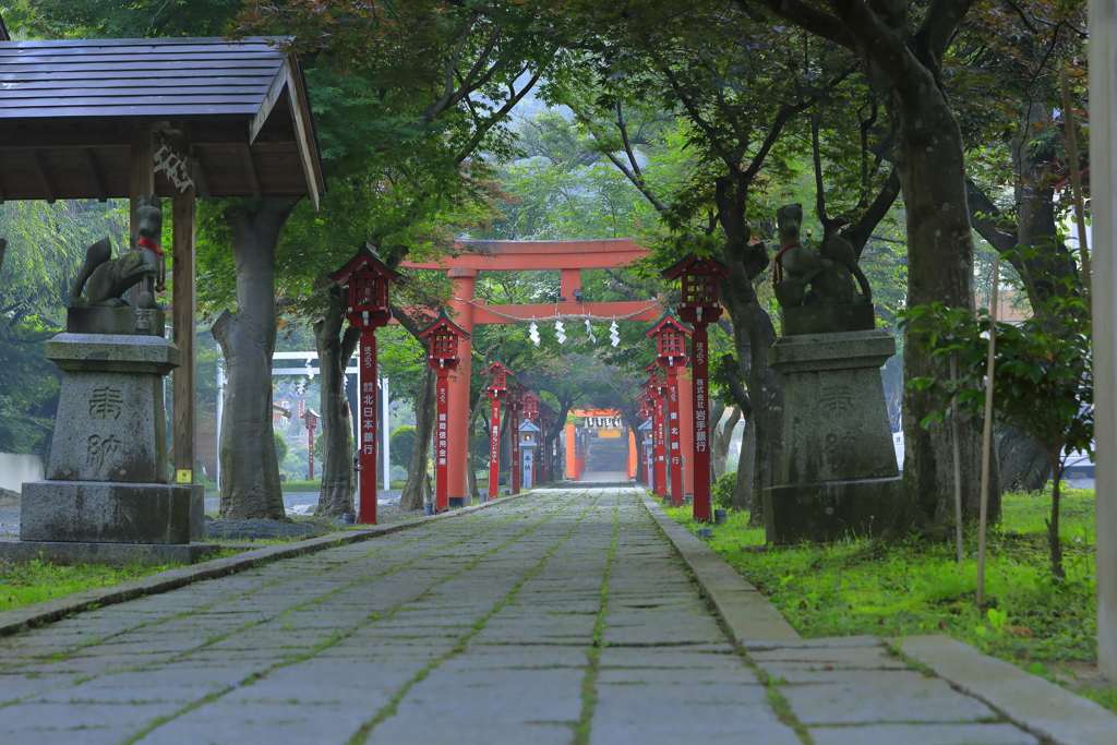 鶯鳴く参道