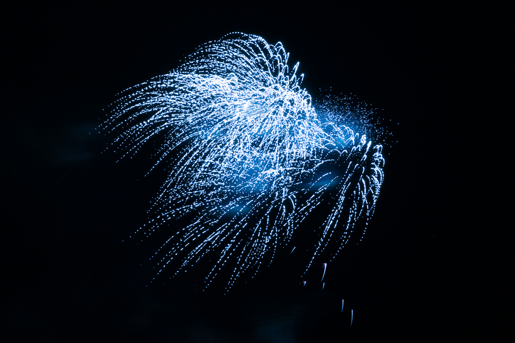 夏の夜に咲く