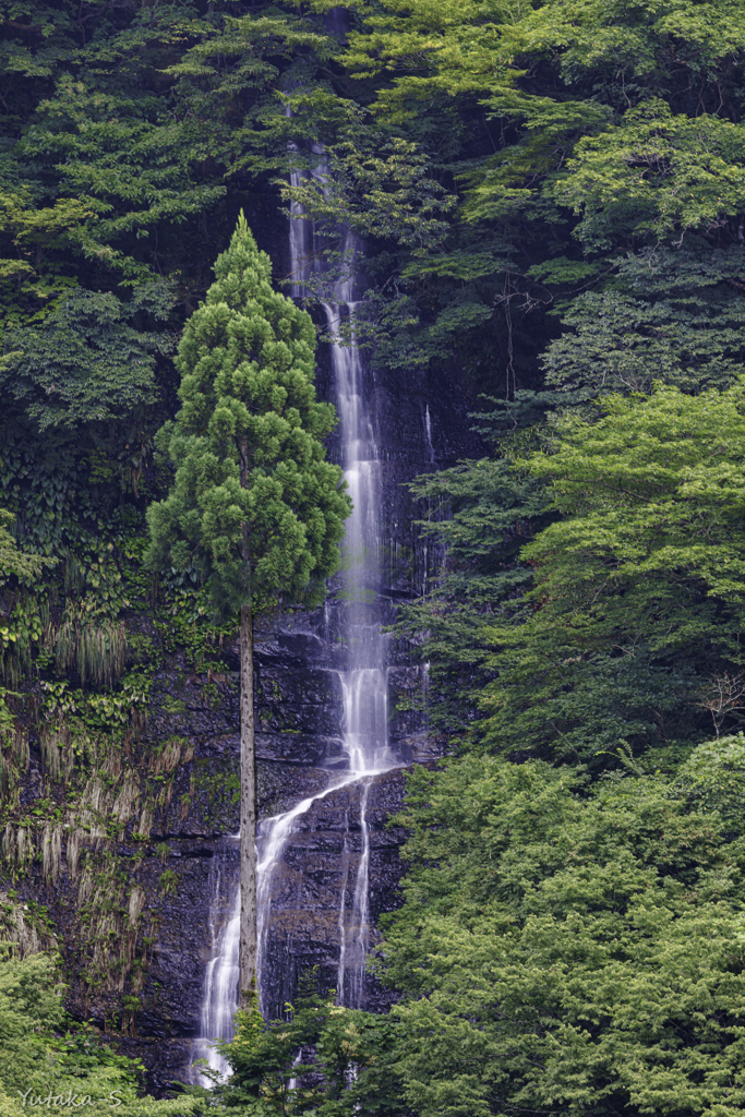 白糸の滝Ⅱ