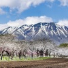 残雪を背に