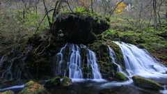 鳥海山の恵Ⅳ