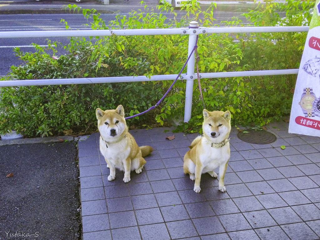 待ってます