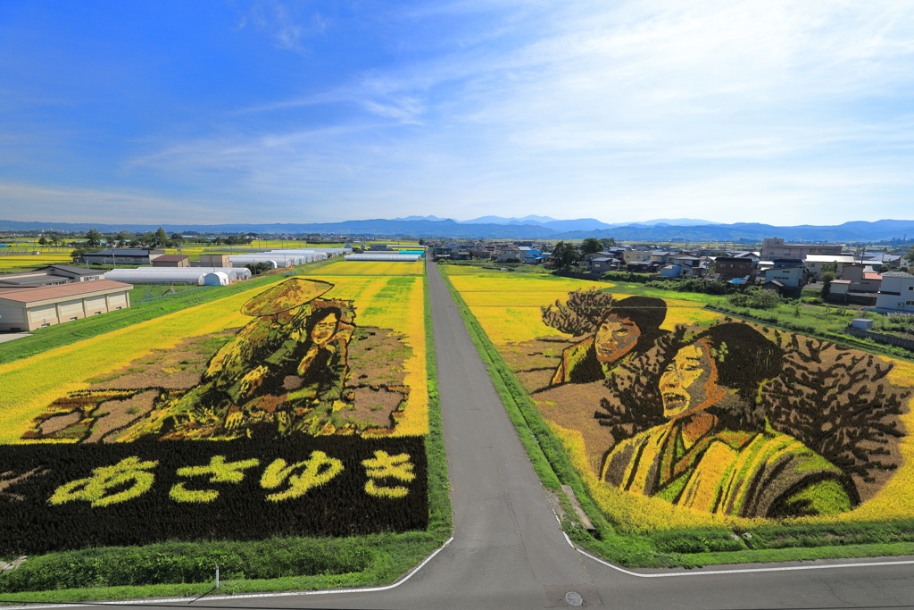 田舎館村・田んぼアートⅡ