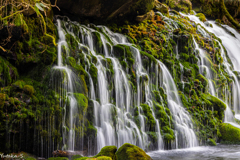 湧水絶え間なく・元滝伏流水Ⅳ