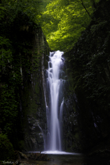 仙人沢の前滝Ⅳ