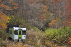 釜石線秋景色