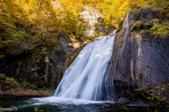 宮城･山形 秋の滝巡り 萱滝Ⅱ