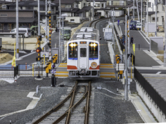 帰ってきた