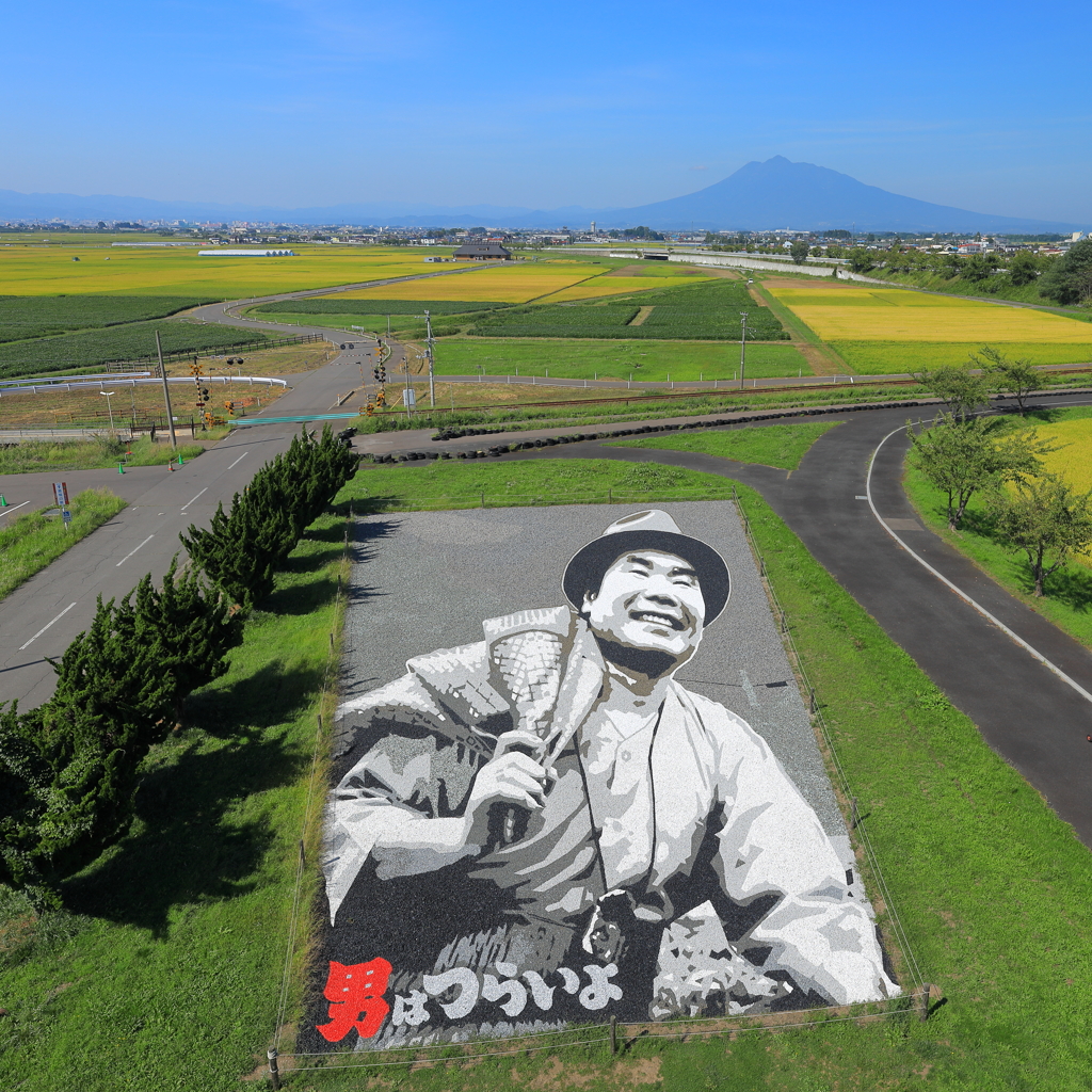 田舎館村・田んぼアートⅠ