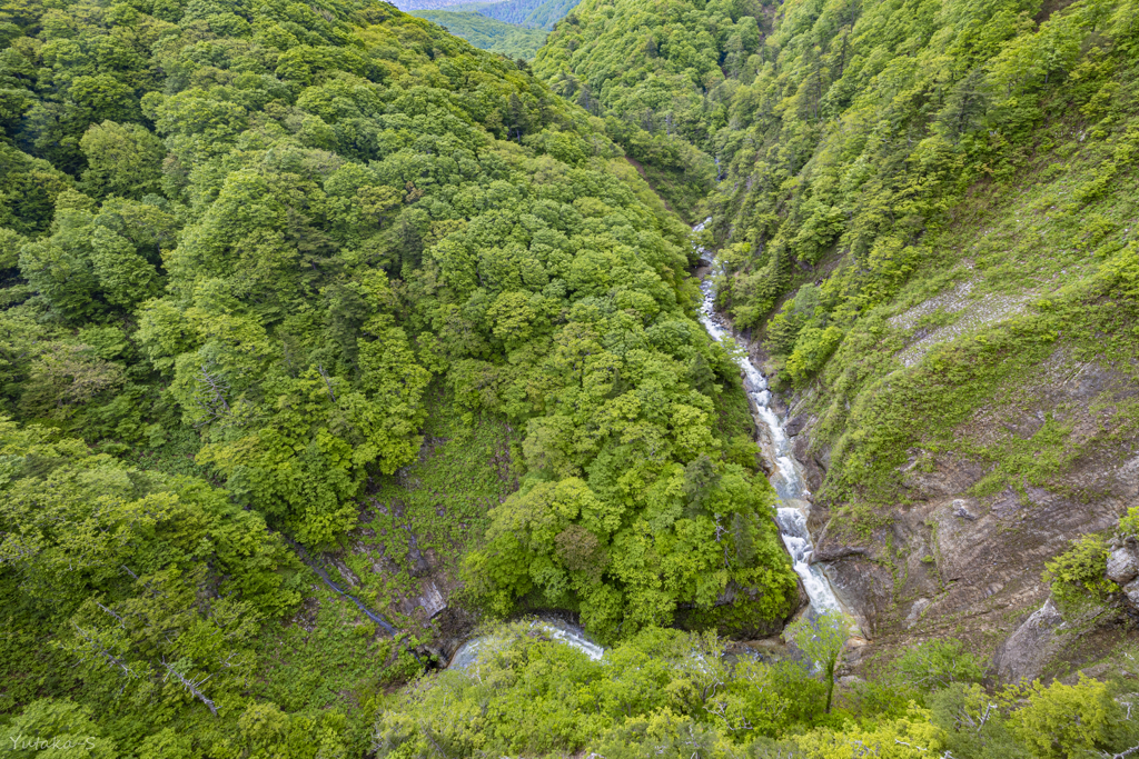 城ヶ倉渓谷