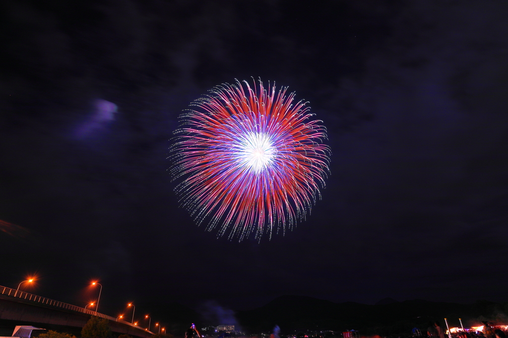 夏の夜はこれ