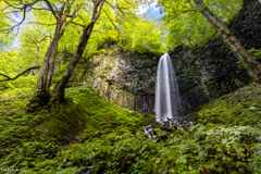 奥入瀬・双竜の滝