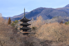 西方寺の五重塔Ⅱ