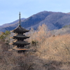 西方寺の五重塔Ⅱ