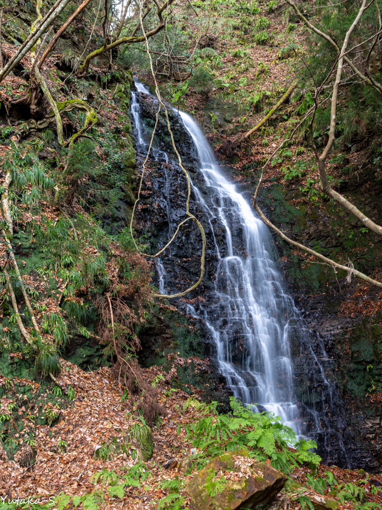 12月の滝巡り・中沢不動滝