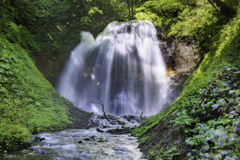 滝つぼ沢の滝Ⅱ