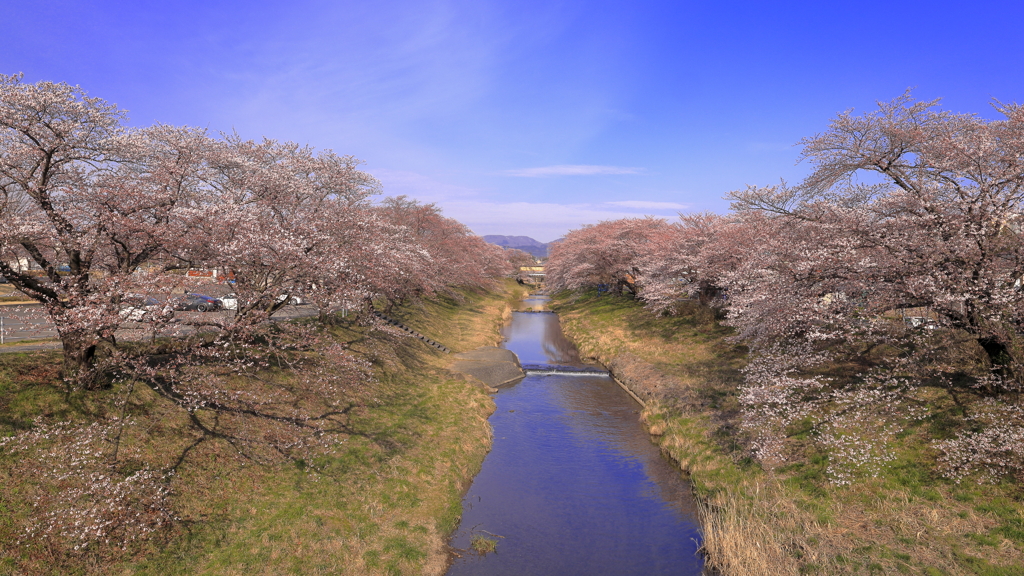 待ち遠し